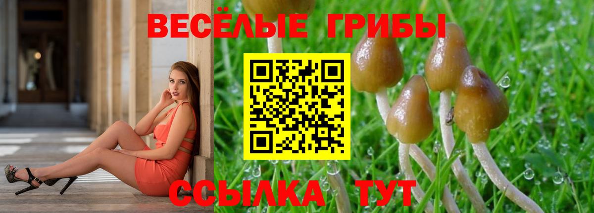 Галлюциногенные грибы мухоморы Калуга